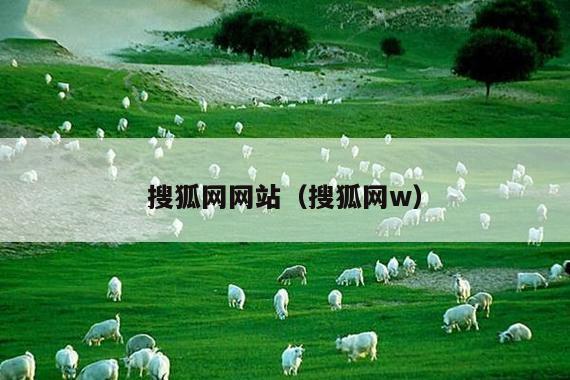 搜狐网网站(搜狐网w)