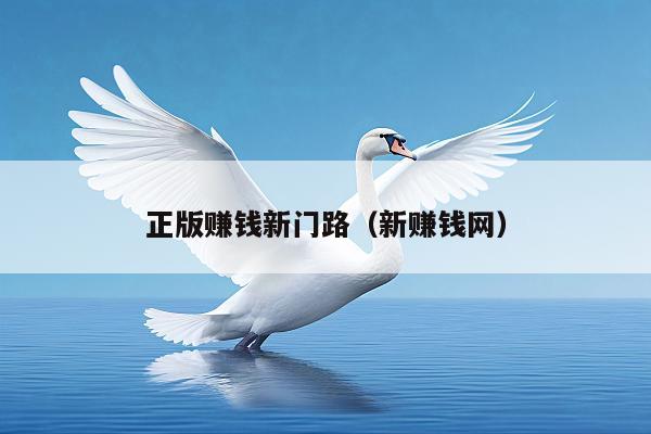 正版赚钱新门路(新赚钱网)