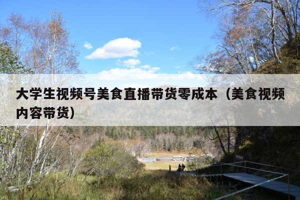 大学生视频号美食直播带货零成本(美食视频内容带货)