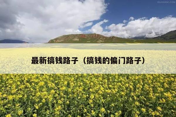 最新搞钱路子(搞钱的偏门路子)