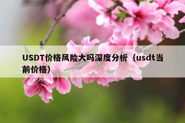 USDT价格风险大吗深度分析(usdt当前价格)