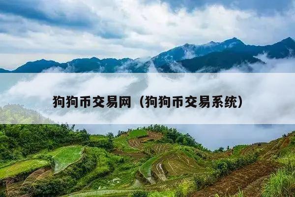 狗狗币交易网(狗狗币交易系统)