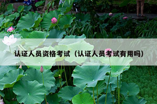 认证人员资格考试(认证人员考试有用吗)
