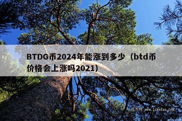 BTDG币2024年能涨到多少(btd币价格会上涨吗2021)