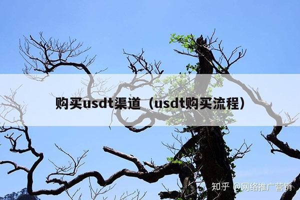 购买usdt渠道(usdt购买流程)