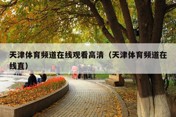 天津体育频道在线观看高清(天津体育频道在线直)