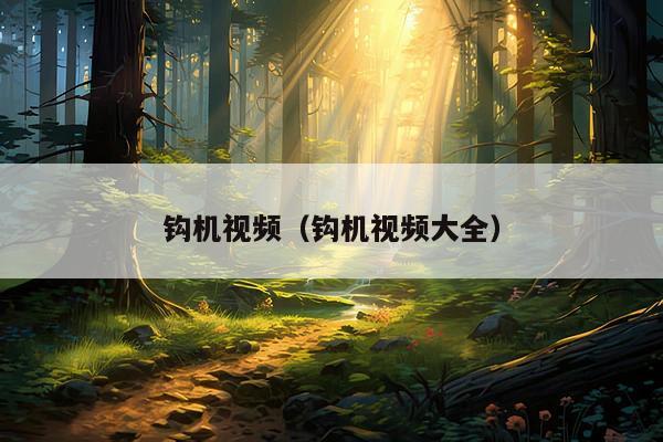 钩机视频(钩机视频大全)