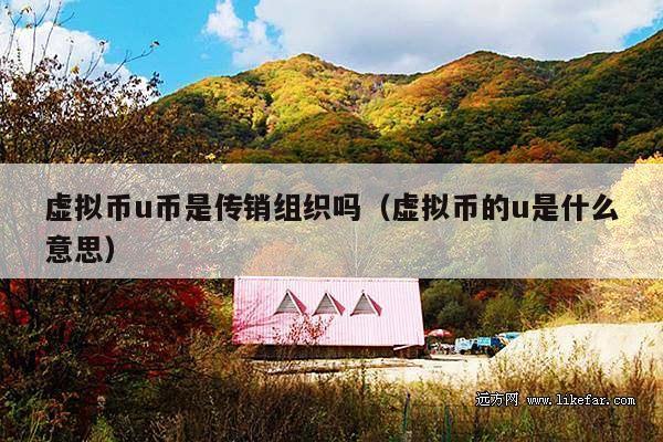 虚拟币u币是传销组织吗(虚拟币的u是什么意思)