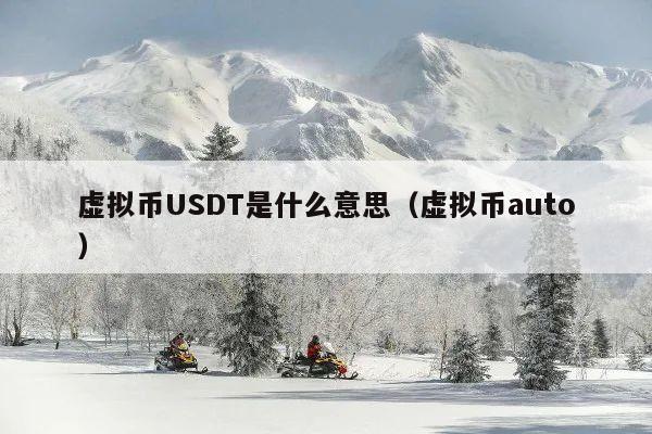 虚拟币USDT是什么意思(虚拟币auto)