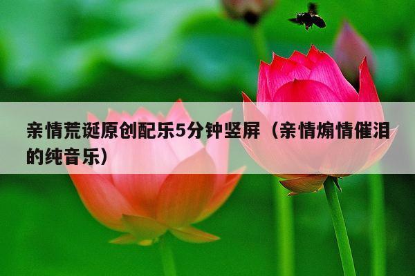 亲情荒诞原创配乐5分钟竖屏(亲情煽情催泪的纯音乐)