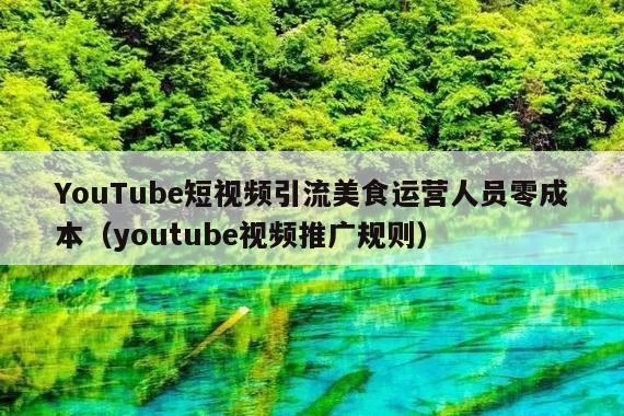 YouTube短视频引流美食运营人员零成本(youtube视频推广规则)