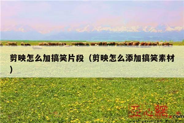 剪映怎么加搞笑片段(剪映怎么添加搞笑素材)