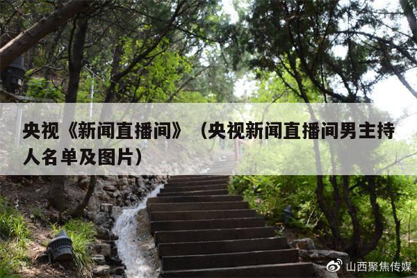 央视《新闻直播间》(央视新闻直播间男主持人名单及图片)