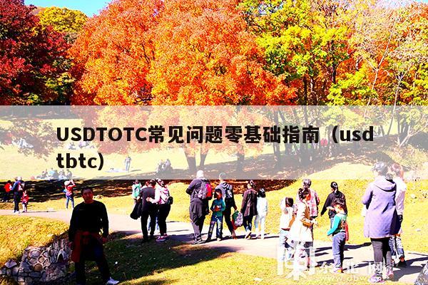USDTOTC常见问题零基础指南(usdtbtc)