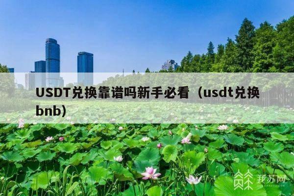 USDT兑换靠谱吗新手必看(usdt兑换bnb)