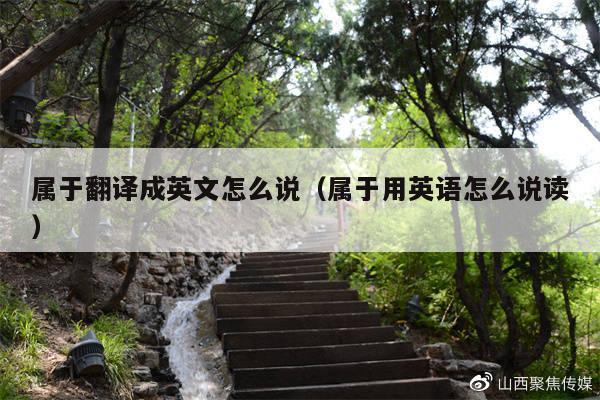 属于翻译成英文怎么说(属于用英语怎么说读)