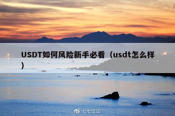 USDT如何风险新手必看(usdt怎么样)