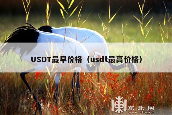 USDT最早价格(usdt最高价格)