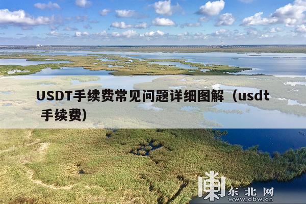 USDT手续费常见问题详细图解(usdt 手续费)