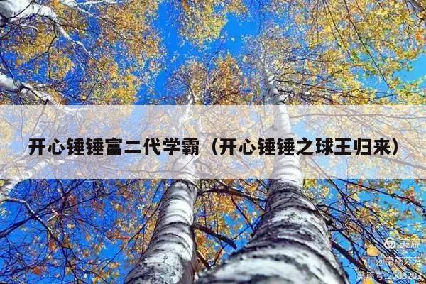 开心锤锤富二代学霸(开心锤锤之球王归来)