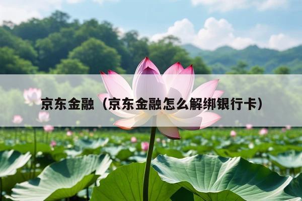 京东金融(京东金融怎么解绑银行卡)