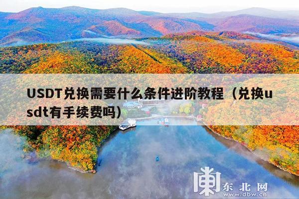 USDT兑换需要什么条件进阶教程(兑换usdt有手续费吗)