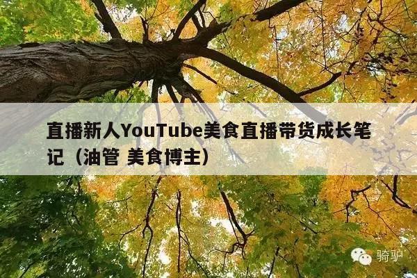 直播新人YouTube美食直播带货成长笔记(油管 美食博主)