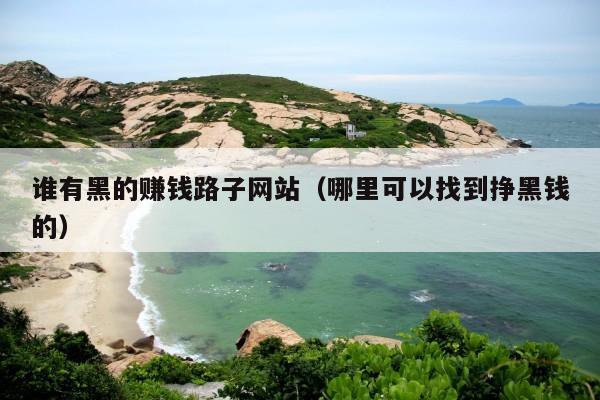 谁有黑的赚钱路子网站(哪里可以找到挣黑钱的)