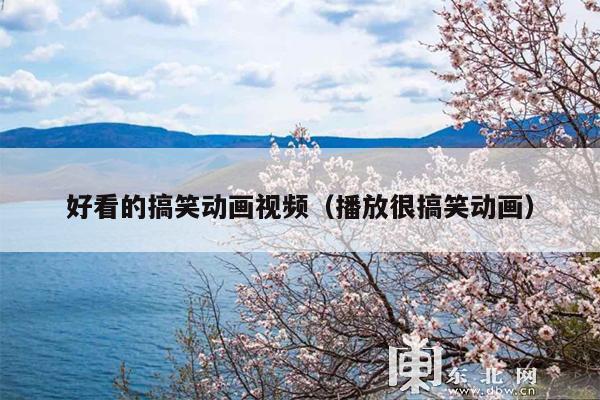 好看的搞笑动画视频(播放很搞笑动画)