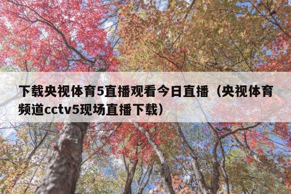下载央视体育5直播观看今日直播(央视体育频道cctv5现场直播下载)