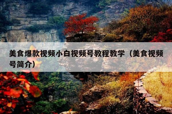 美食爆款视频小白视频号教程教学(美食视频号简介)
