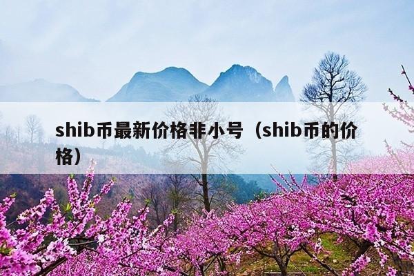 shib币最新价格非小号(shib币的价格)