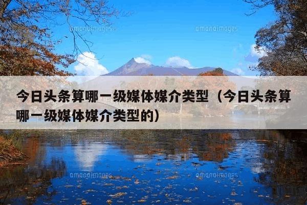 今日头条算哪一级媒体媒介类型(今日头条算哪一级媒体媒介类型的)