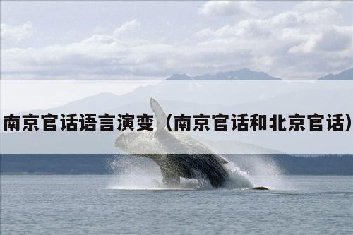 南京官话语言演变(南京官话和北京官话)