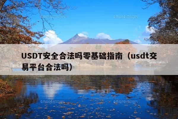 USDT安全合法吗零基础指南(usdt交易平台合法吗)