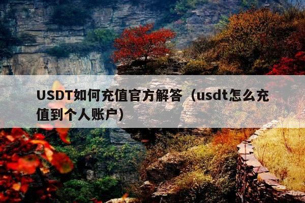USDT如何充值官方解答(usdt怎么充值到个人账户)
