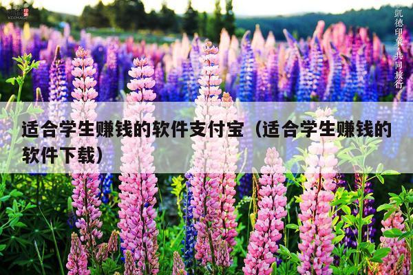 适合学生赚钱的软件支付宝（适合学生赚钱的软件下载）