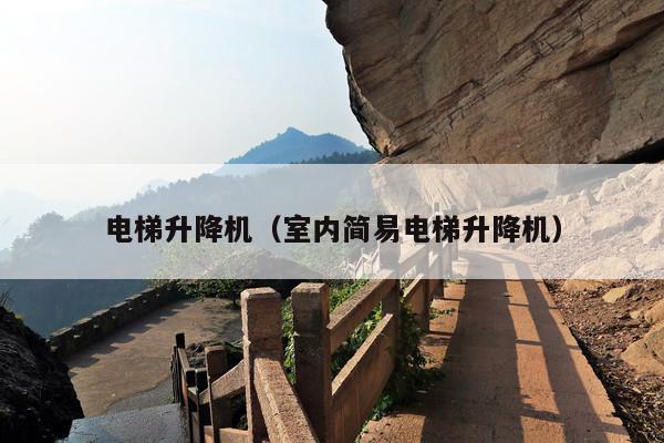 电梯升降机（室内简易电梯升降机）
