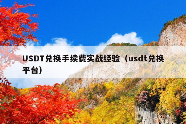 USDT兑换手续费实战经验（usdt兑换平台）