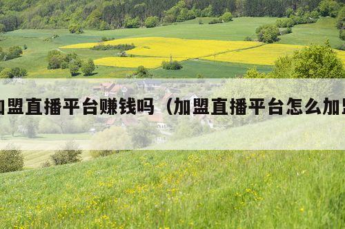 加盟直播平台赚钱吗(加盟直播平台怎么加盟)