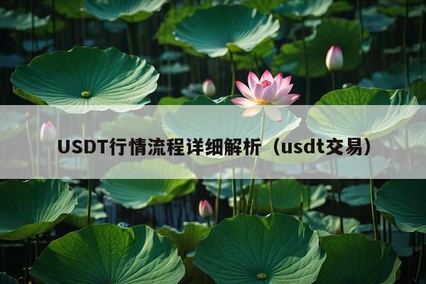 USDT行情流程详细解析（usdt交易）
