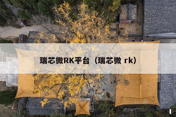 瑞芯微RK平台（瑞芯微 rk）