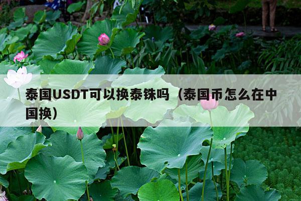 泰国USDT可以换泰铢吗（泰国币怎么在中国换）