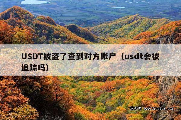 USDT被盗了查到对方账户（usdt会被追踪吗）