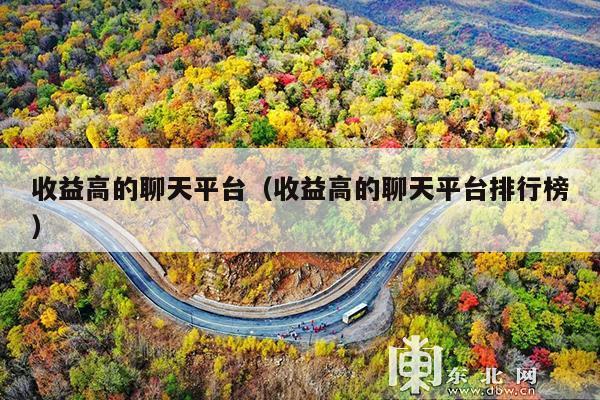 收益高的聊天平台(收益高的聊天平台排行榜)