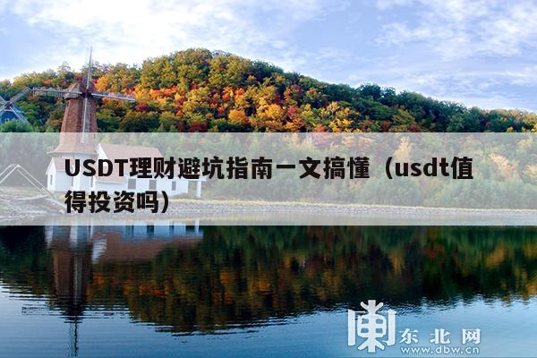 USDT理财避坑指南一文搞懂(usdt值得投资吗)