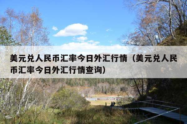 美元兑人民币汇率今日外汇行情(美元兑人民币汇率今日外汇行情查询)