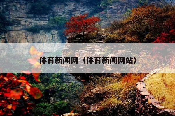 体育新闻网(体育新闻网站)