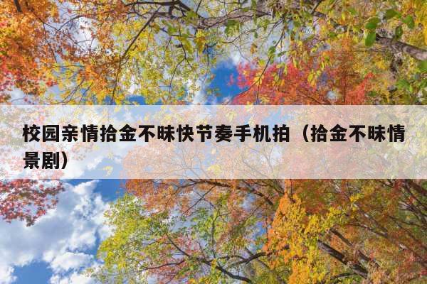 校园亲情拾金不昧快节奏手机拍(拾金不昧情景剧)