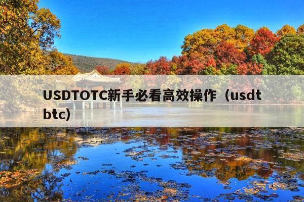 USDTOTC新手必看高效操作(usdtbtc)
